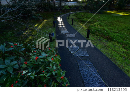 Senryo and the stone-paved garden 118213393