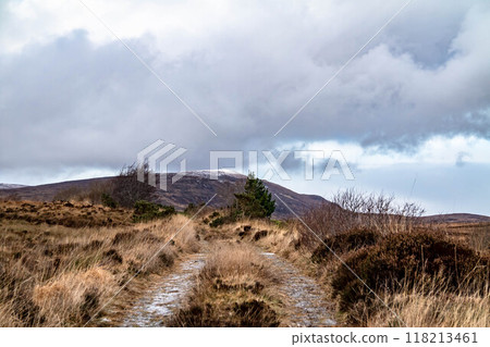 The Derryveagh Mountains in winter, County Donegal, Ireland 118213461