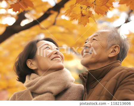 Senior couple looking at the autumn leaves 118213606