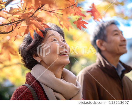 Senior couple looking at the autumn leaves 118213607