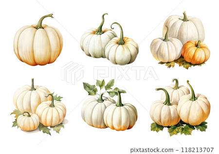 White Pumpkin Collection Bundle Set Isolated on a Transparent Background 118213707