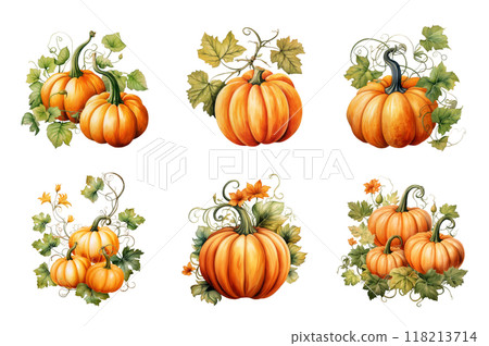 Pumpkin with Vine Collection Bundle Set Isolated on a Transparent Background Pumpkin with Vine Collection Bundle Set Isolated on a Transparent Background 118213714