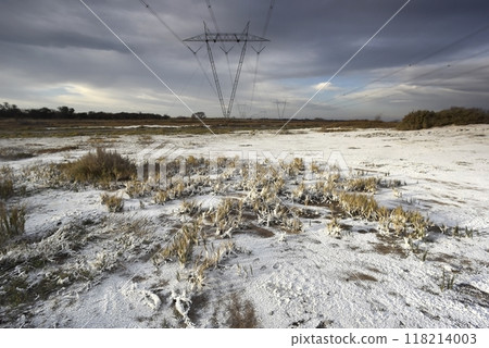 Saltpeter on the floor of a lagoon in a semi desert environment, La Pampa province, Patagonia, Argentina. 118214003