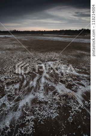 Saltpeter on the floor of a lagoon in a semi desert environment, La Pampa province, Patagonia, Argentina. Saltpeter on the floor of a lagoon in a semi desert environment, La Pampa province, Patagonia, Argentina. 118214004