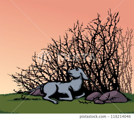 Vector drawing. The sheep got lost in the thorn bushes Vector drawing. The sheep got lost in the thorn bushes 118214046