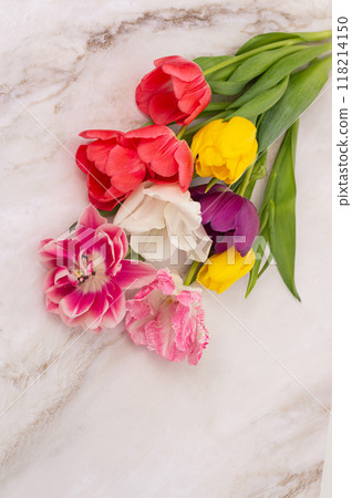 Assorted tulips and fringed pink flowers on marble background. 118214150