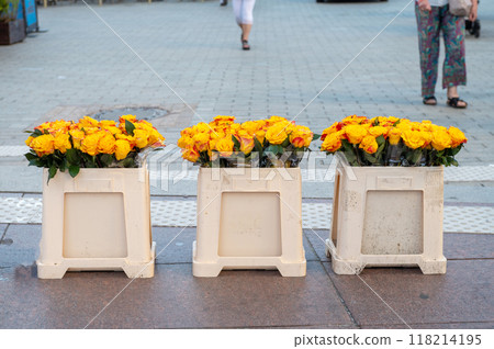 Bouquets of yellow roses in plastic containers on a city sidewalk. Bouquets of yellow roses in plastic containers on a city sidewalk. 118214195