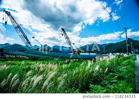 Rice field and wind turbine blades 118214315