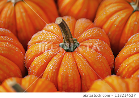 Beautiful autumn composition of orange pumpkins covered in droplets of water arranged in a pattern. Great backdrop for your design. 118214527