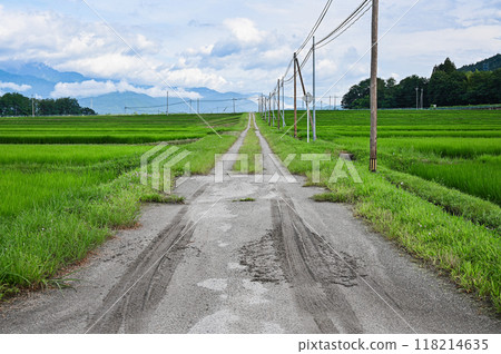 Summer farm roads [Omachi City] 118214635