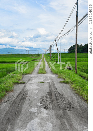Summer farm roads [Omachi City] 118214636