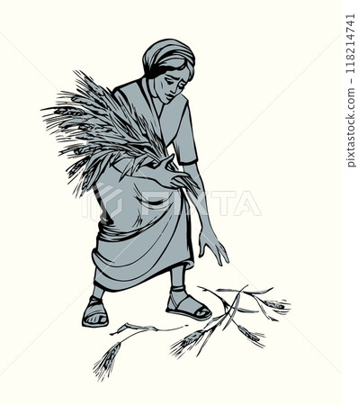 Vector drawing. A woman picks ears in the field 118214741