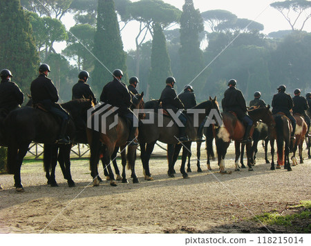 A group of horseback riders in uniform, lined up in a park, with tall trees in the background, showcasing teamwork and discipline. A group of horseback riders in uniform, lined up in a park, with tall trees in the background, showcasing teamwork and discipline. 118215014