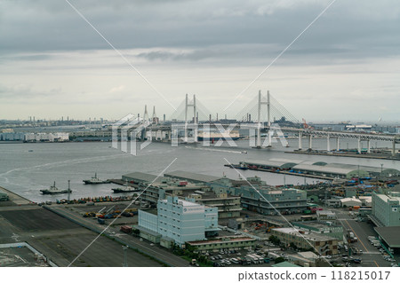 [Kanagawa Prefecture] Yamashita Pier and Bay Bridge on a cloudy day 118215017