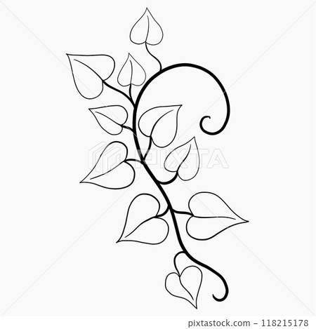 Floral ivy drawing decorative ornament flat design. 118215178
