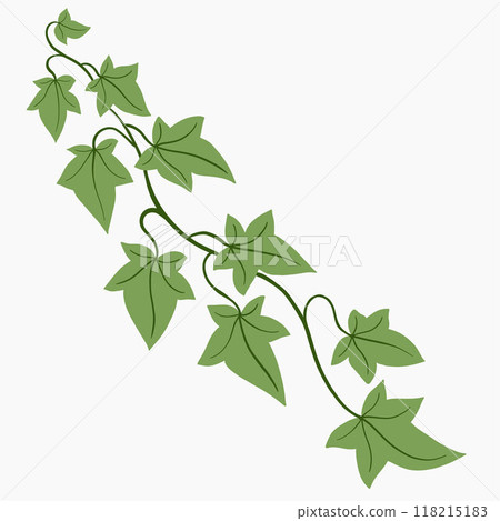 Floral ivy drawing decorative ornament flat design. 118215183