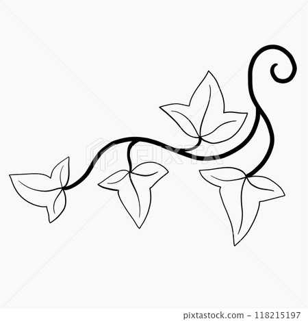 Floral ivy drawing decorative ornament flat design. Floral ivy drawing decorative ornament flat design. 118215197