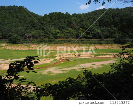 Young grass growing in a dried-up pond Young grass growing in a dried-up pond 118215272