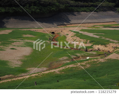 Young grass growing in a dried-up pond Young grass growing in a dried-up pond 118215279