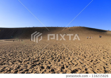 Tottori Sand Dunes: Beautiful sandy scenery (Tottori) Tottori Sand Dunes: Beautiful sandy scenery (Tottori) 118215826
