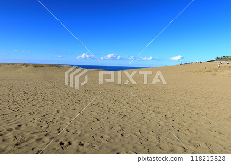 Tottori Sand Dunes: Beautiful sandy scenery (Tottori) 118215828