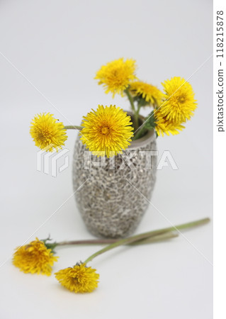 In a vase I'm a Bright yellow bouquet of field dandelions, plucked from a spring meadow, In a vase I'm a Bright yellow bouquet of field dandelions, plucked from a spring meadow, 118215878