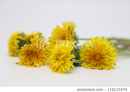 In a vase I'm a Bright yellow bouquet of field dandelions, plucked from a spring meadow, In a vase I'm a Bright yellow bouquet of field dandelions, plucked from a spring meadow, 118215879