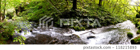 Karuizawa - The Stream Path Karuizawa - The Stream Path 118215893
