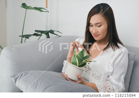 Woman looks at small dracaena trifasciata in a stylish white pot. Woman looks at small dracaena trifasciata in a stylish white pot. 118215894