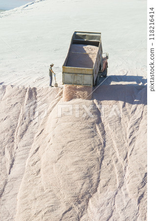 Trucks unloading raw salt bulk, Salinas Grandes de Hidalgo, La Pampa, Patagonia,  Argentina. 118216414