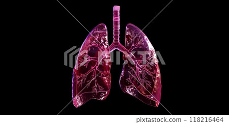Medical Illustration of Respiratory System. Human Lungs Anatomy 118216464