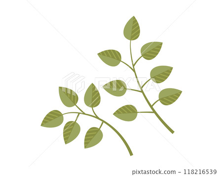 Leaves vector illustration. Leaves grow and intertwine, creating verdant tapestry in garden The leaves metaphor eloquently expresses poetic dance natures ballet Blooms and blossoms are artistic Leaves vector illustration. Leaves grow and intertwine, creating verdant tapestry in garden The leaves metaphor eloquently expresses poetic dance natures ballet Blooms and blossoms are artistic 118216539