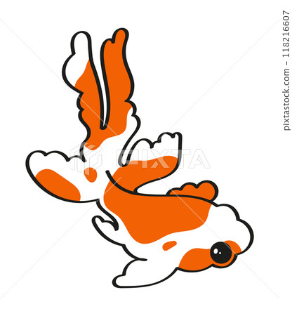 Japanese chinese traditional goldfish koi carp fish on a white background Japanese chinese traditional goldfish koi carp fish on a white background 118216607