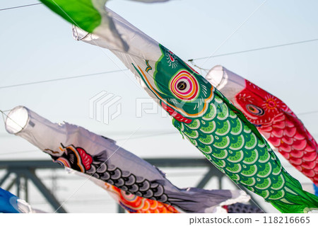 Green carp streamer 118216665