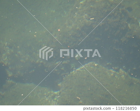 透明的大海 118216850