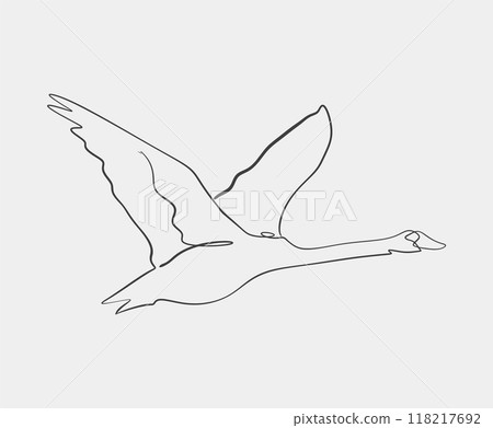 Minimalist line drawing of flying swan Minimalist line drawing of flying swan 118217692