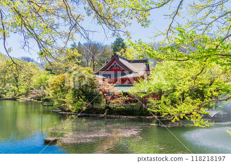 [Tokyo] Inokashira Park: Benzaiten and Daishoji Temple surrounded by fresh greenery 118218197