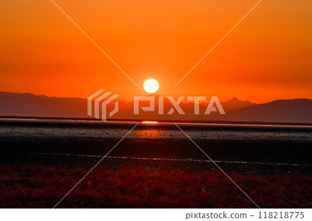 沐浴在美麗夕陽下的火雞草景觀“東與日日方遊客中心東佐賀市(佐賀市)” 沐浴在美麗夕陽下的火雞草景觀“東與日日方遊客中心東佐賀市(佐賀市)” 118218775