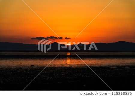沐浴在美麗夕陽下的火雞草景觀“東與日日方遊客中心東佐賀市（佐賀市）” 118218826