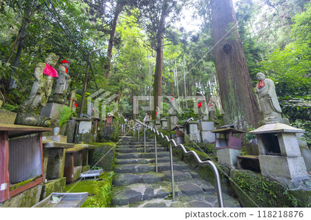 Ikoma-san Hozan-ji Temple (Hozan-ji Temple) - The approach to the inner sanctuary Ikoma-san Hozan-ji Temple (Hozan-ji Temple) - The approach to the inner sanctuary 118218876