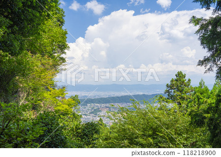 View from Daikokudo Hall of Hozanji Temple 118218900