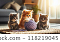 Kittens playing with a hairball 118219045