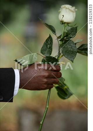Vertical shot in gloomy tones of hand of wet with raindrops Black man holding white rose on blurred background, copy space Vertical shot in gloomy tones of hand of wet with raindrops Black man holding white rose on blurred background, copy space 118219333