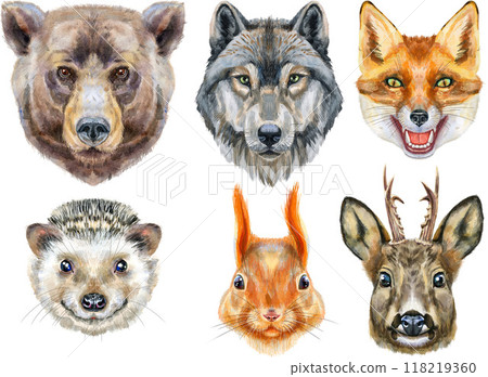 Portraits of wild animals of Eurasia. Bear, wolf, fox, roe deer, hedgehog and red squirrel Portraits of wild animals of Eurasia. Bear, wolf, fox, roe deer, hedgehog and red squirrel 118219360