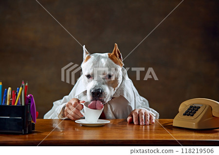 White dog in formal wear, wearing shirt, sitting at desk, and drinking from cup. White dog in formal wear, wearing shirt, sitting at desk, and drinking from cup. 118219506