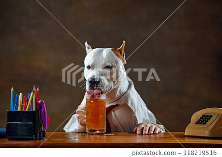 White dog wearing shirt and tie, sitting at desk, and drinking lager beer. Relaxation after work White dog wearing shirt and tie, sitting at desk, and drinking lager beer. Relaxation after work 118219516