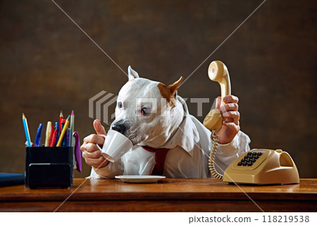 White dog wearing shirt, sitting at desk, holding phone to ear, and drinking from cup. Conversation with partners 118219538