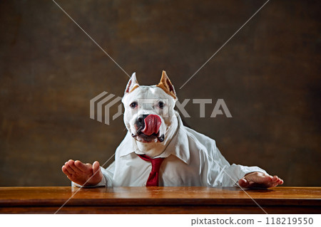 White purebred dog with in formal wear, shirt and tie, sitting at desk, licking lips, and gesturing with hands. Calm down White purebred dog with in formal wear, shirt and tie, sitting at desk, licking lips, and gesturing with hands. Calm down 118219550