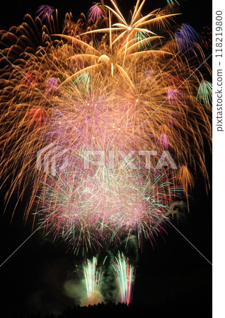 Fireworks (Katakai Festival, Ojiya City, Niigata Prefecture) 118219800