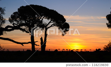 Serene Sunrise Over Cirali's Beach: A Summer Morning 118219830